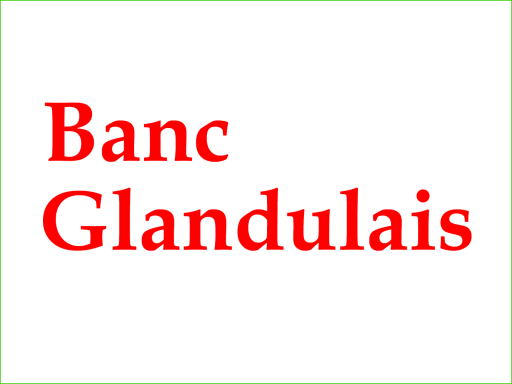 Banc Glandulais Housing Co-operative, Lampeter