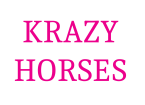 Krazy Horses Kids Soft play & Café, Llanybydder