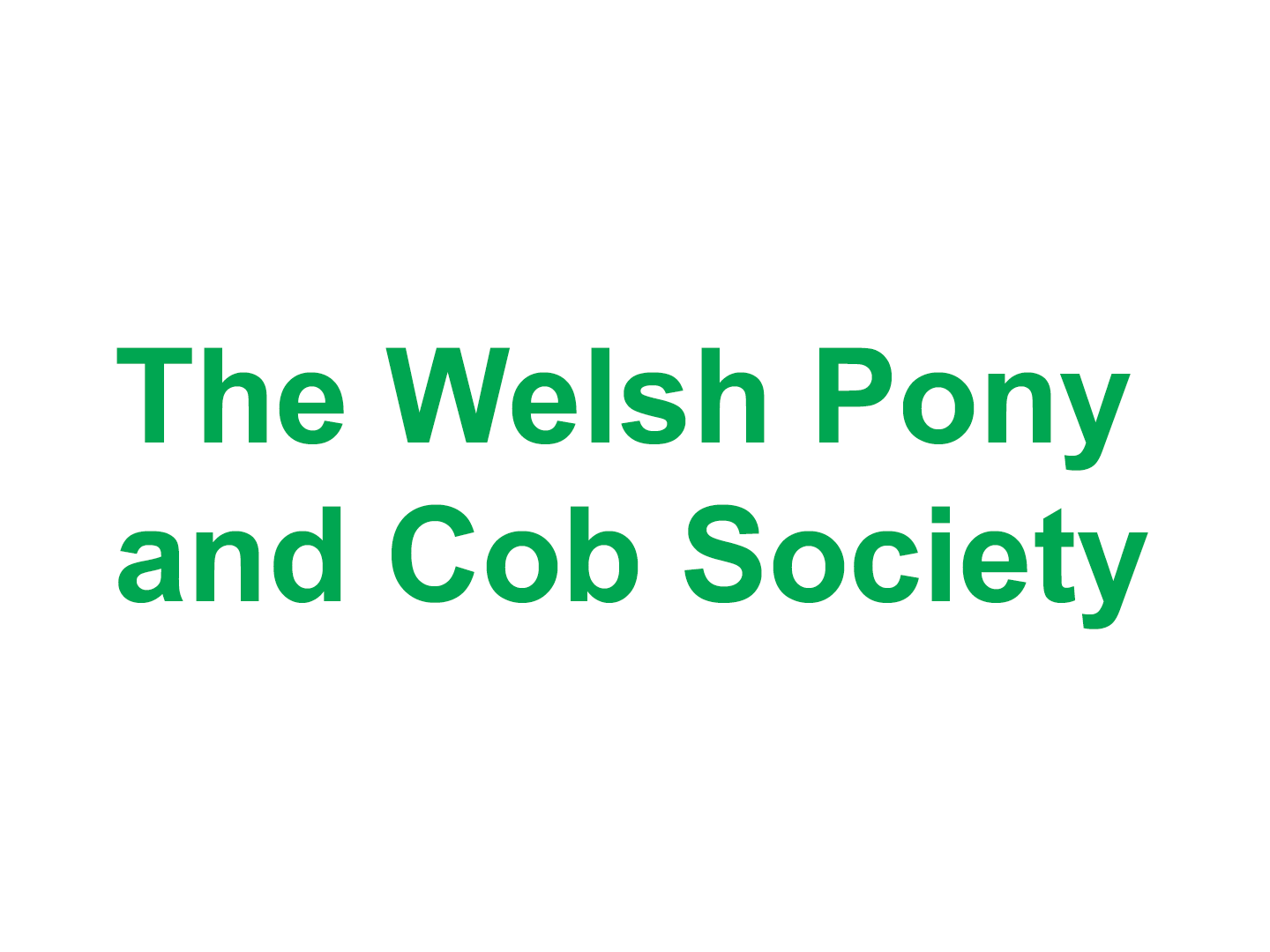 The Welsh Pony and Cob Society, Felinfach Lampeter21