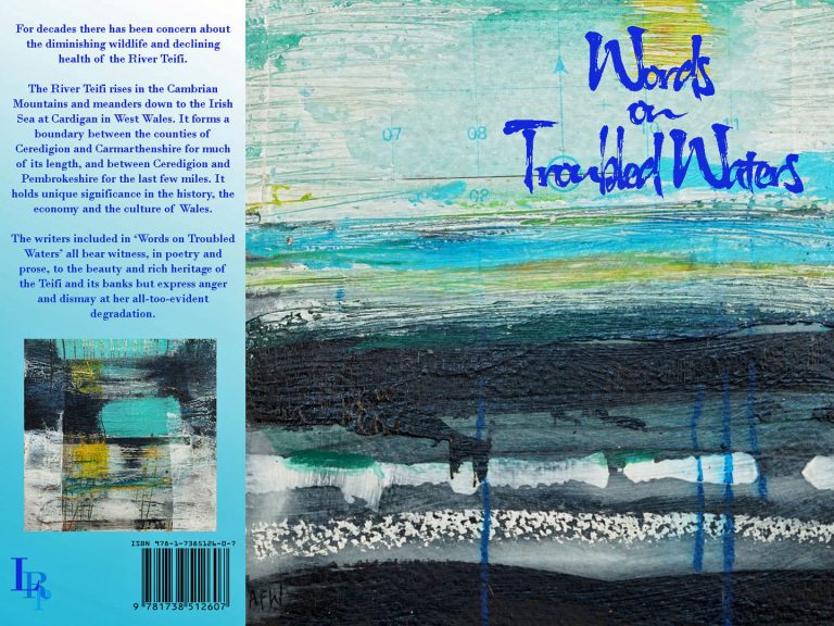 Words on Troubled Waters book cover